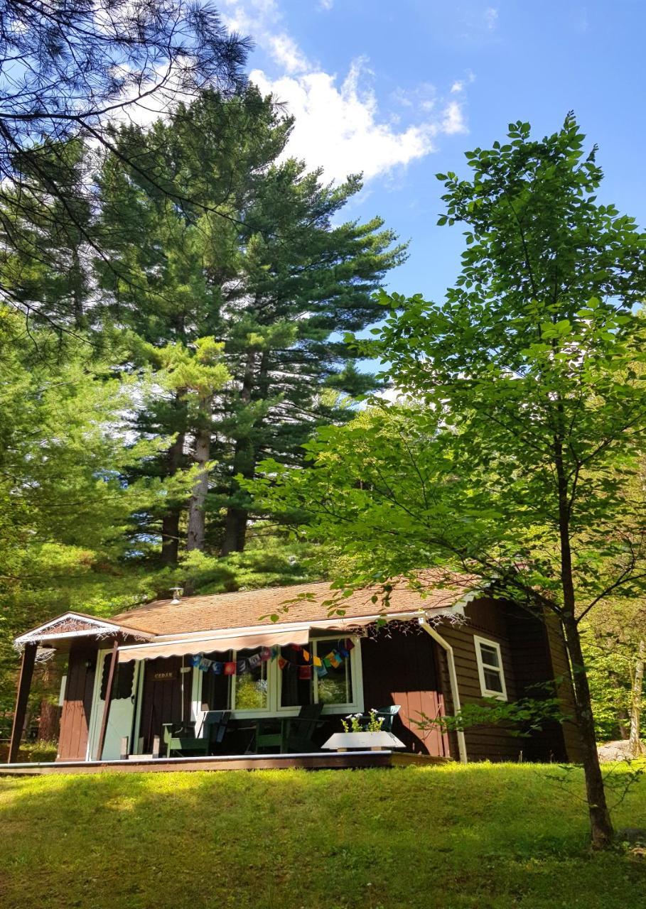 The Wilderness Inn - photo 5