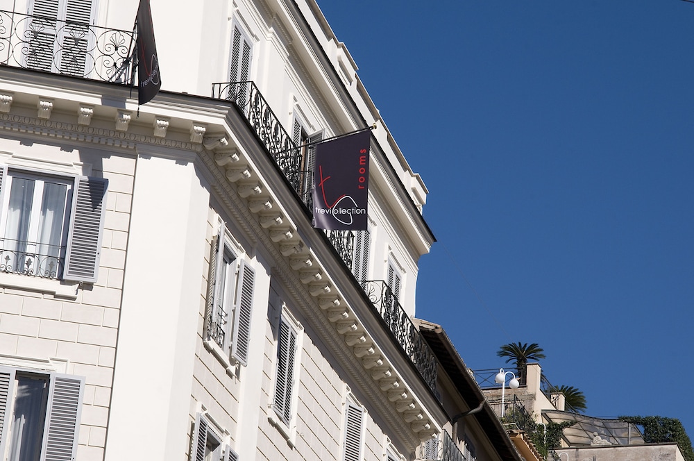 מראה חיצוני