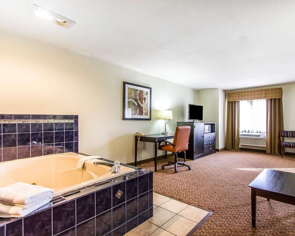Quality Inn Pontiac - photo 42
