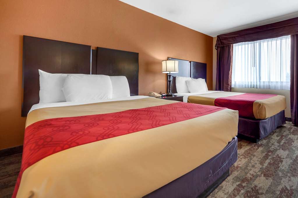 Econo Lodge Black Hills - photo 24