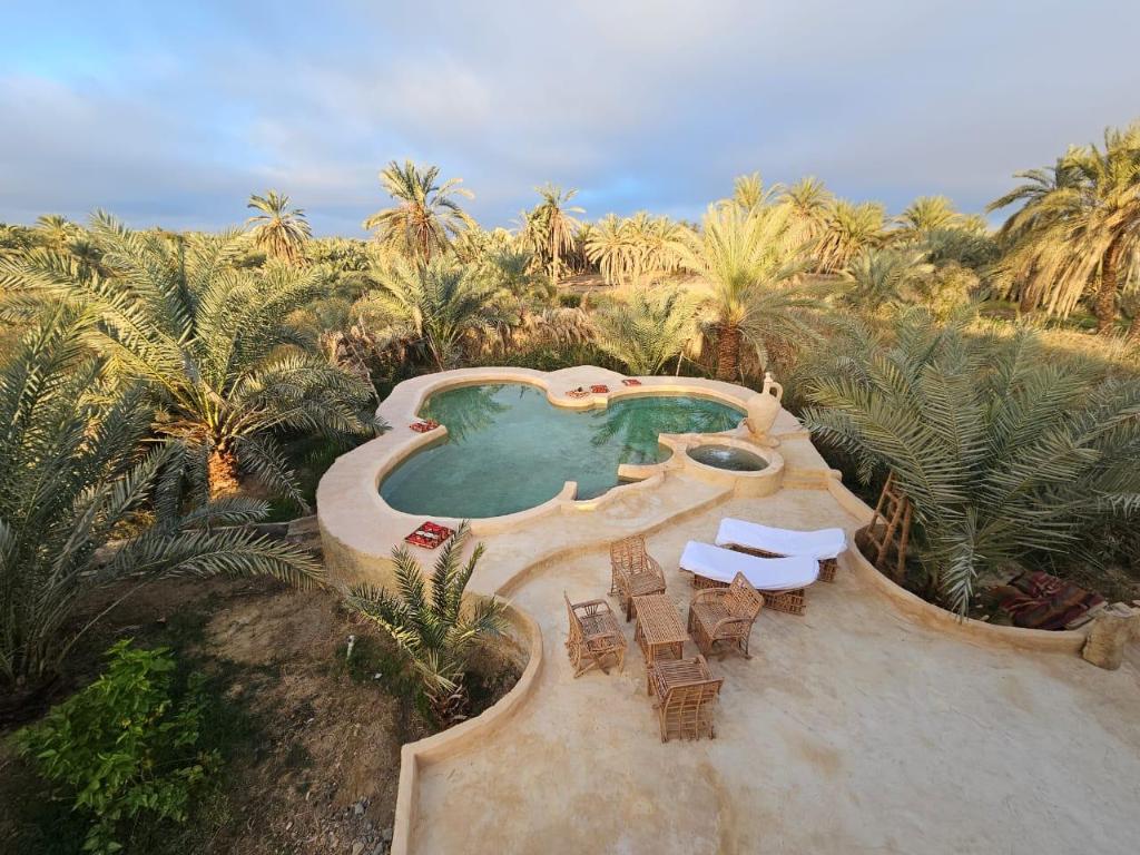 Paradise In A Palm Forest With Epic Pool — Siwa Oasis