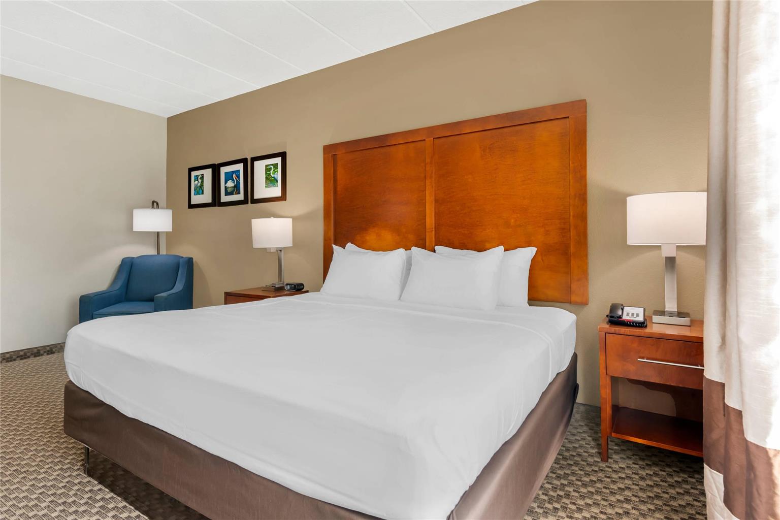 Comfort Inn & Suites Wildwood The Villages - photo 8