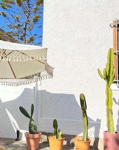 La Posada Coliving - last minute hotel in Vina Del Mar