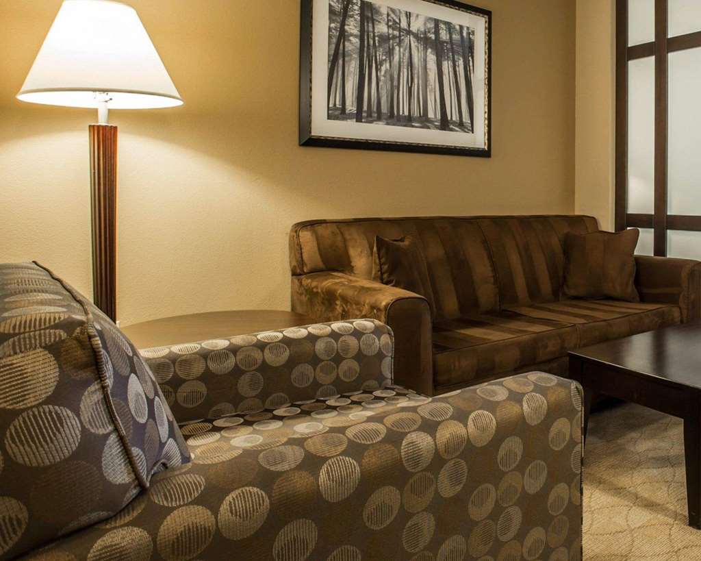Comfort Suites Huntersville near Lake Norman - photo 21