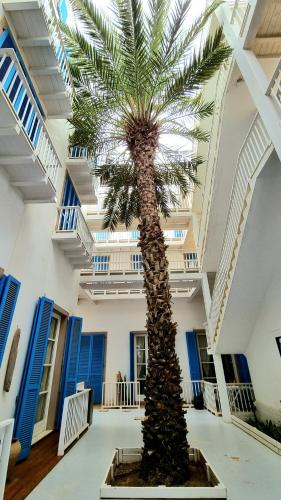 Surf House Casa Vehla — 4-Star Luxury Hotel in Sal Rei, Cape Verde