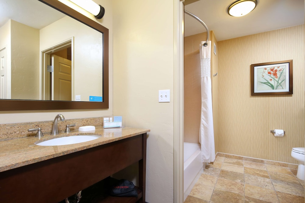 Hampton Inn & Suites Tucson Mall - photo 18