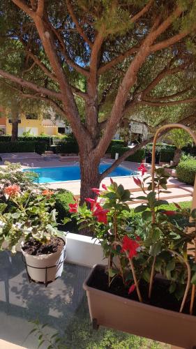 Duplex Cap D Agde Piscine in Cap Dagde, France