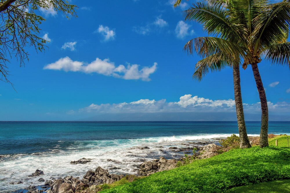 Napili Point C3 - photo 49
