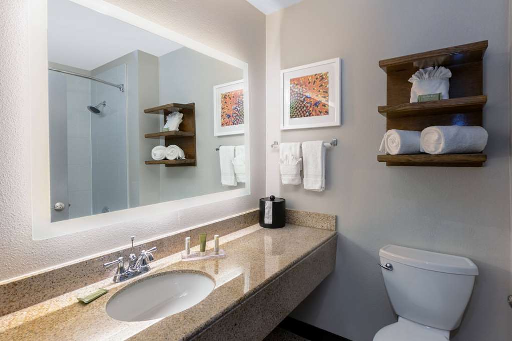 Wingate by Wyndham DFW North Irving - photo 40