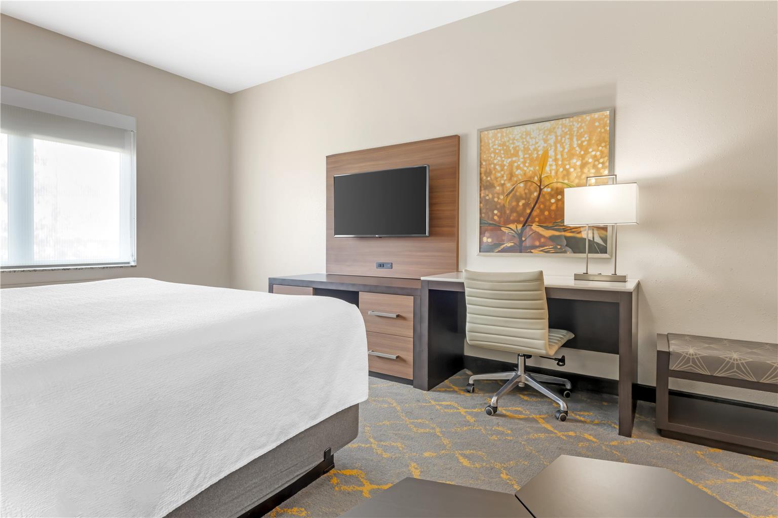 Best Western Plus Isanti - photo 44