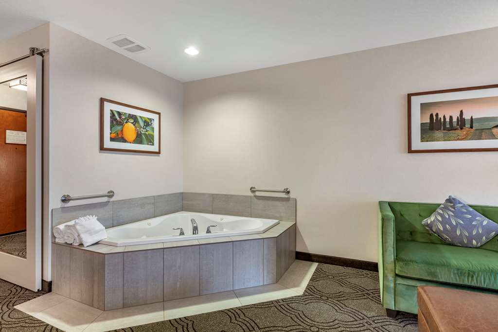 Best Western Premier Pasco Inn & Suites - photo 18