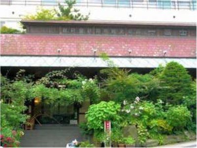 Ichifuji Hotel in Shibukawa, Japan