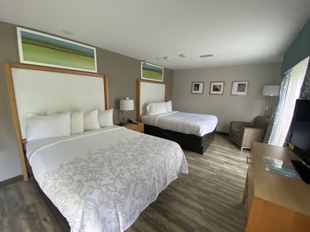 Red Roof Inn PLUS & Suites Tampa - photo 10