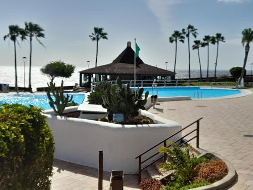 Rocas del mar sur — carbon neutral stay, Arona