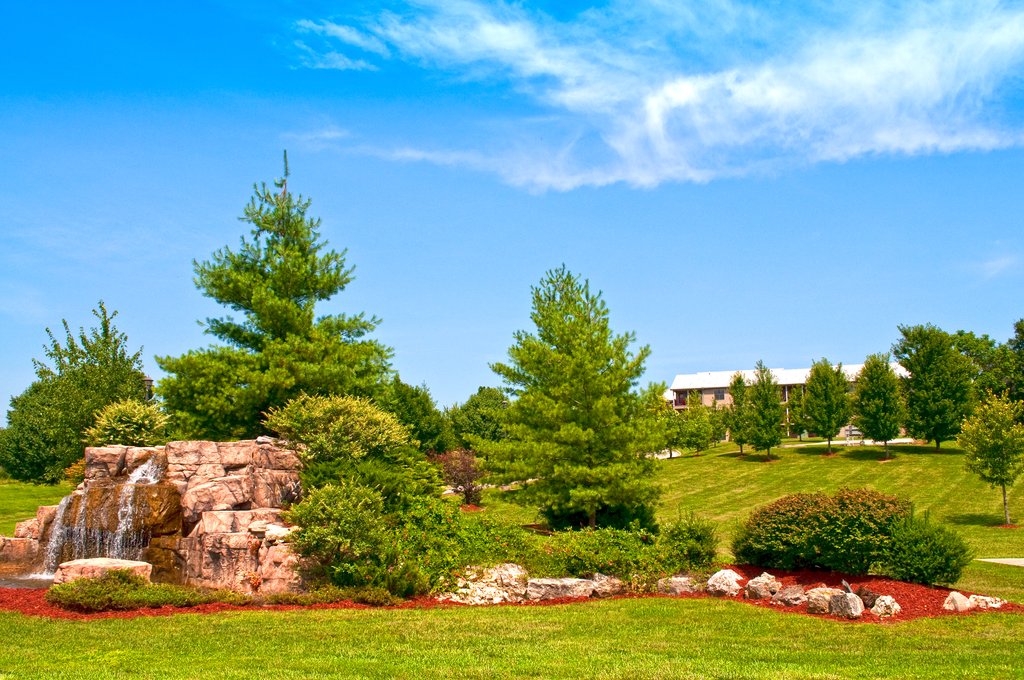 Holiday Inn Club Vacations Timber Creek Resort - photo 39