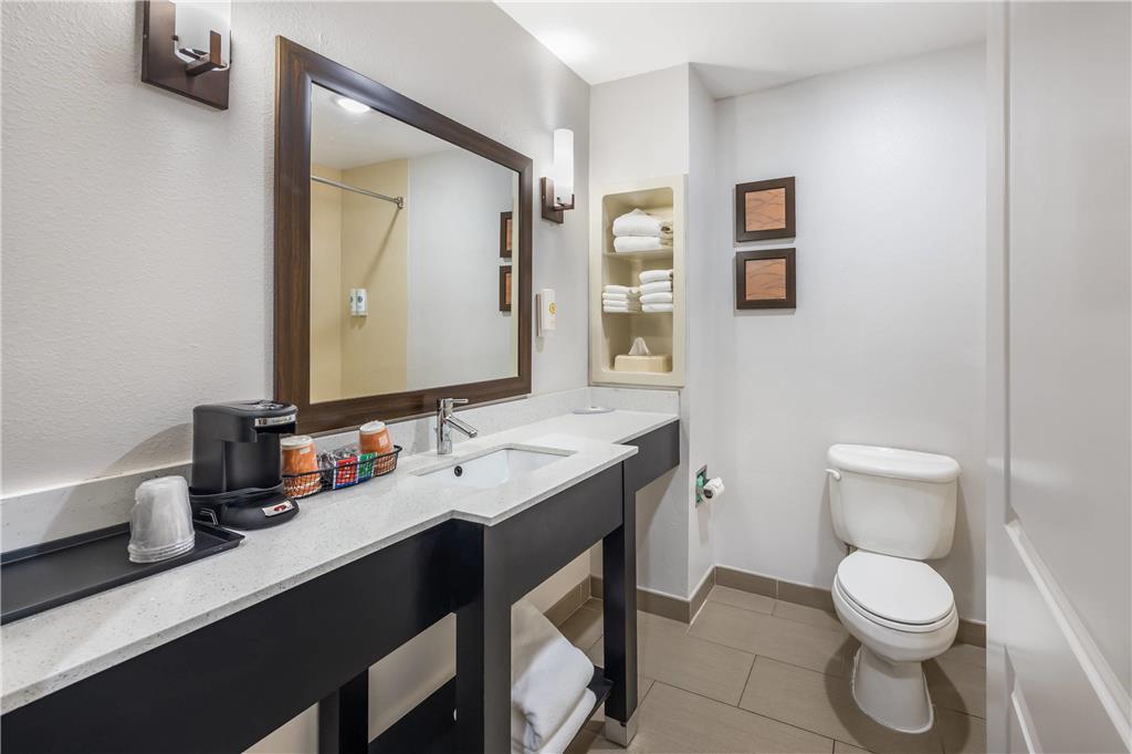 Comfort InnSuites ChattanoogaWest Lookout Mountain - photo 19