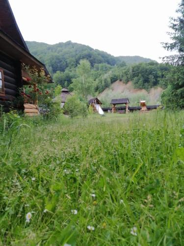 Stara Khata Карпати — Kuty — photo 4