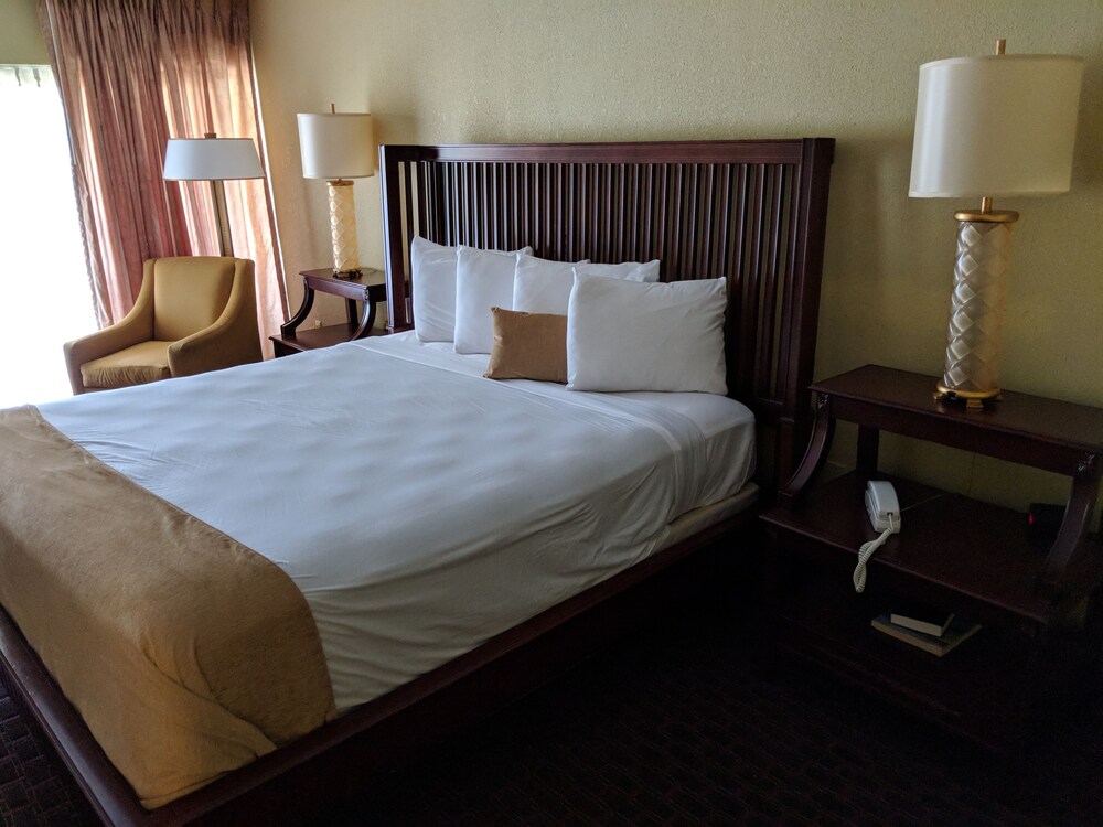 Vista Inn Lake Tarpon - photo 13
