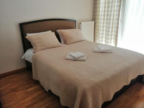 Besiki Luxury Apartments