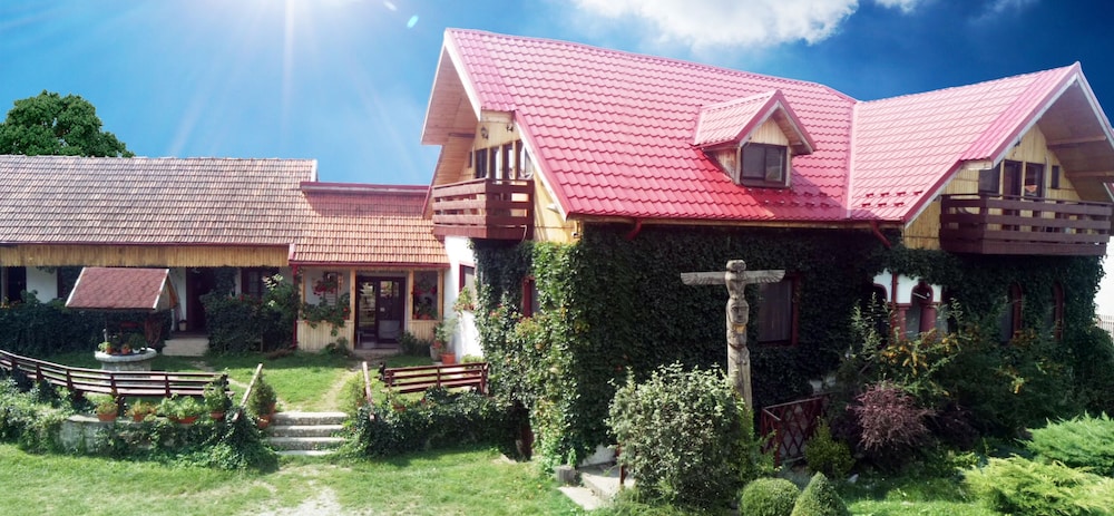 Conacul Bunicilor in Baia De Fier, Romania