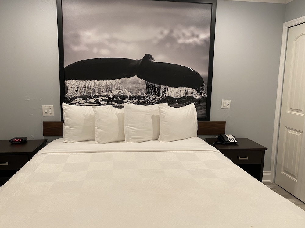Aura Inn Monterey - photo 18