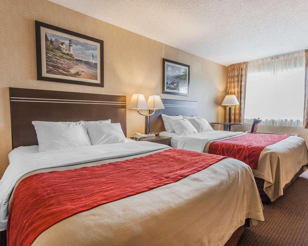 Comfort Inn On the Bay - photo 8