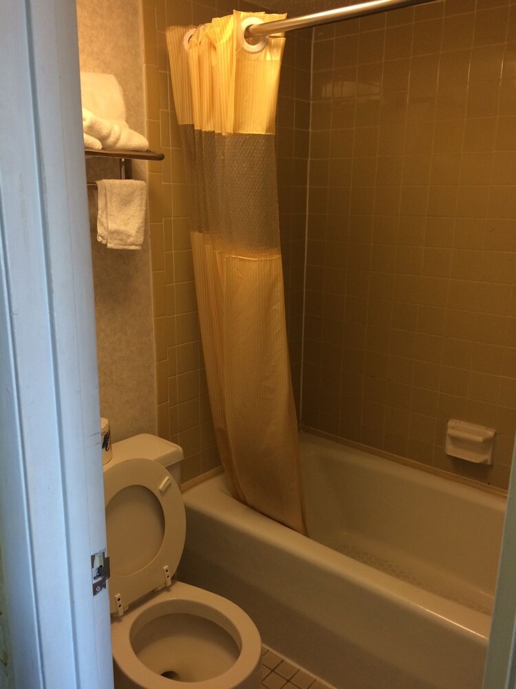 All Day Inn - photo 14