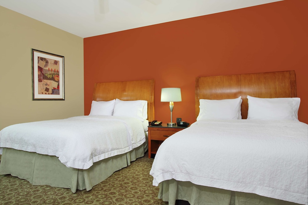 Hampton Inn & Suites Buffalo - photo 16