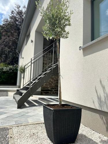 Loft blanc — Trois-Ponts — photo 2