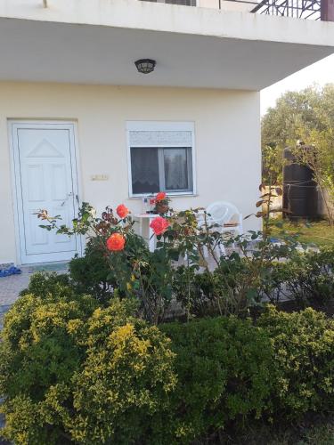 Tasos in Unknown City, Greece