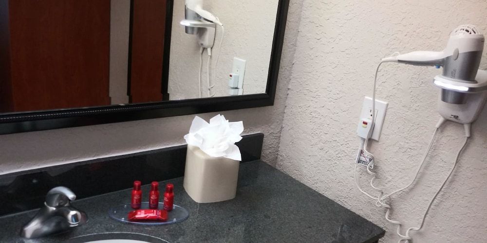 SureStay Plus Hotel by Best Western Clearwater Central - photo 12