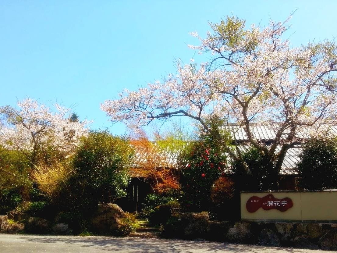 Oyado Kaikatei in Yufu, Japan