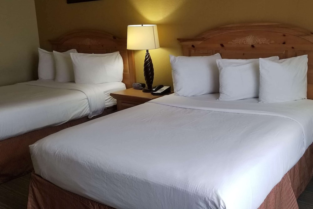 Holiday Inn Express & Suites Chicago Matteson an IHG Hotel - photo 18