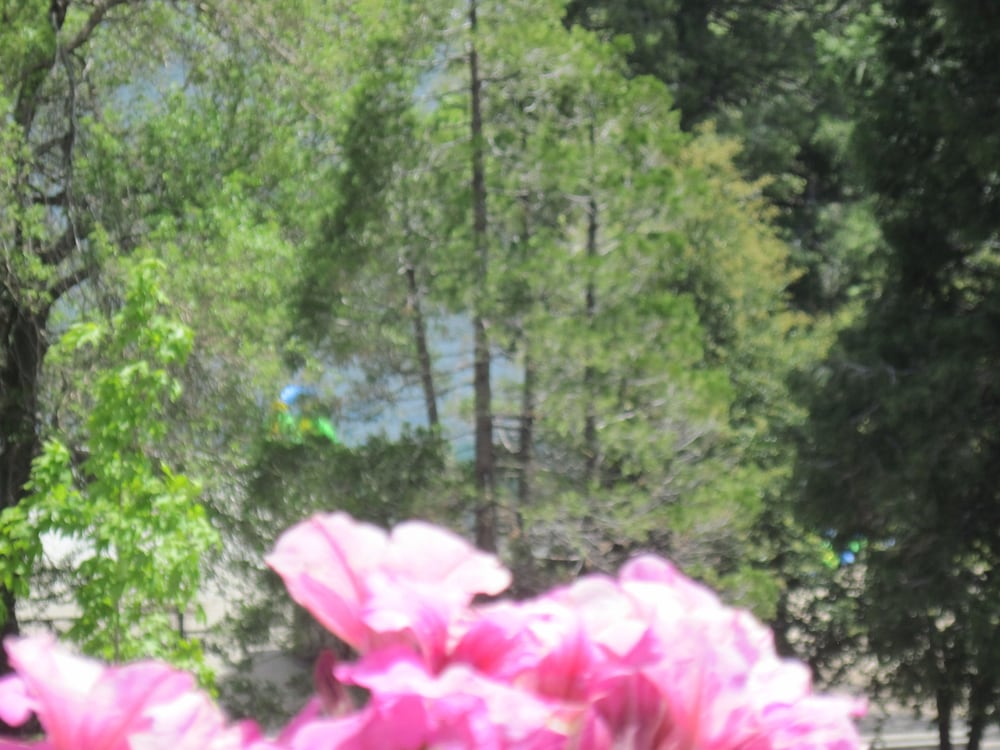 The North Shore Inn - photo 117