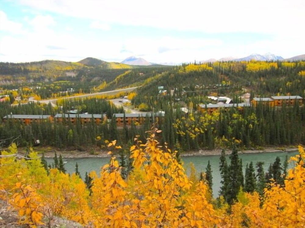 Denali Grizzly Bear Resort - photo 35