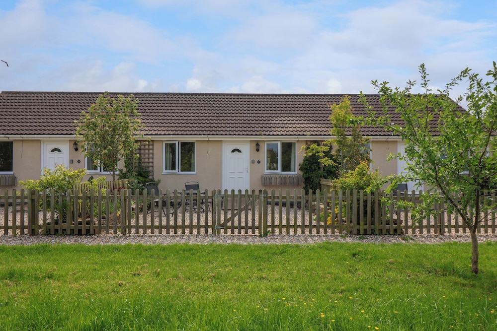 Widgeon in Highbridge, United Kingdom