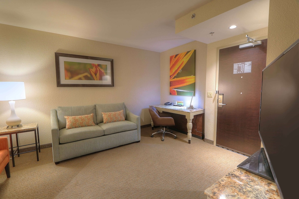 Hilton Garden Inn Pigeon Forge - photo 13