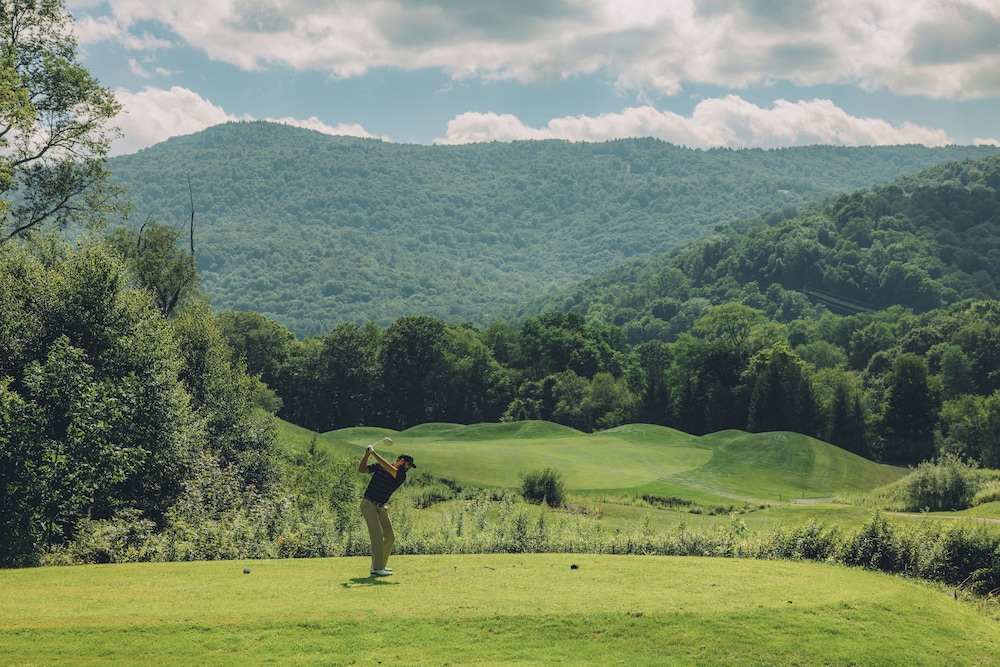 Allegheny Springs - photo 56