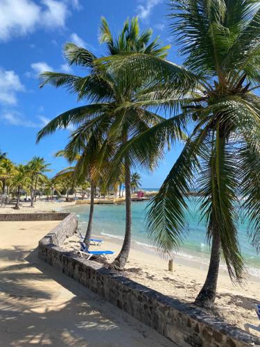 Ecrin Créole Manganao — 4-Star Luxury Hotel in Saint-Francois, Guadeloupe