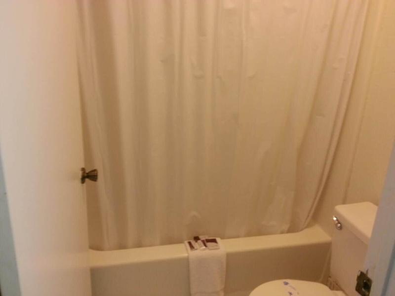 Devonshire Inn - photo 8