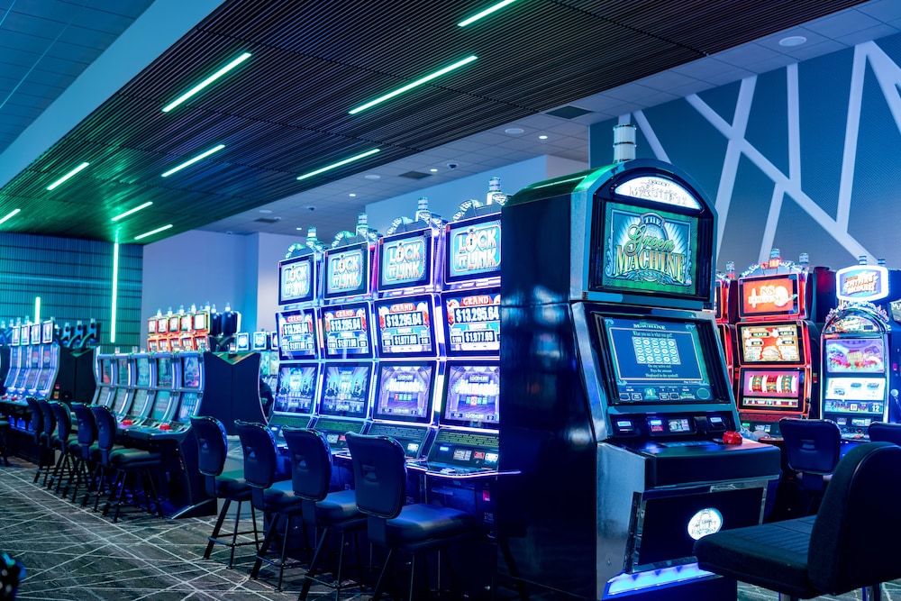 Royal River Casino and Hotel - photo 29