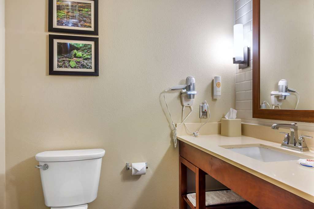 Comfort Inn & Suites at CrossPlex Village - photo 20