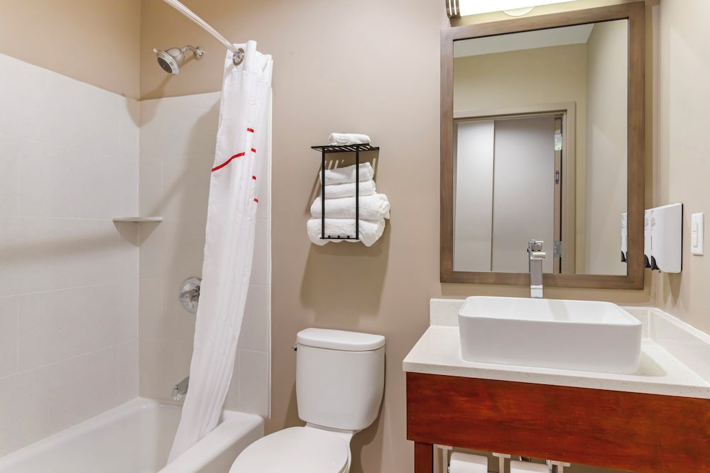 Red Roof Inn Plus Jamaica Ny Jfk Airport - photo 24