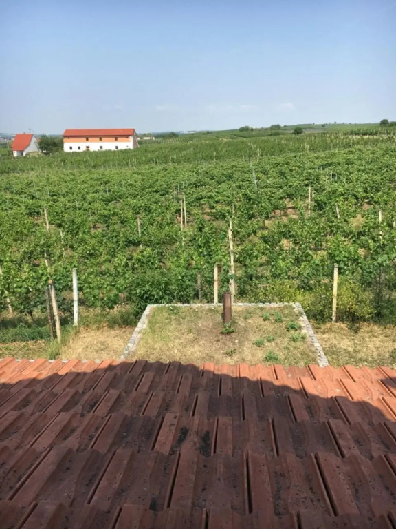 Vinný sklep Monty Přítluky in Breclav, Czech Republic