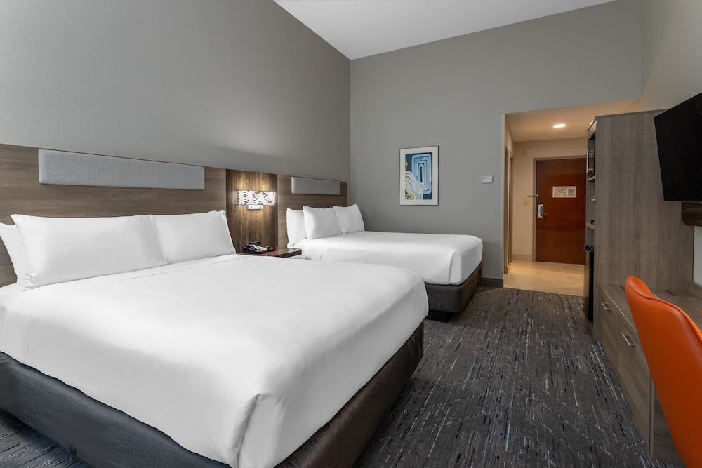 Holiday Inn Express Crystal River by IHG - photo 9