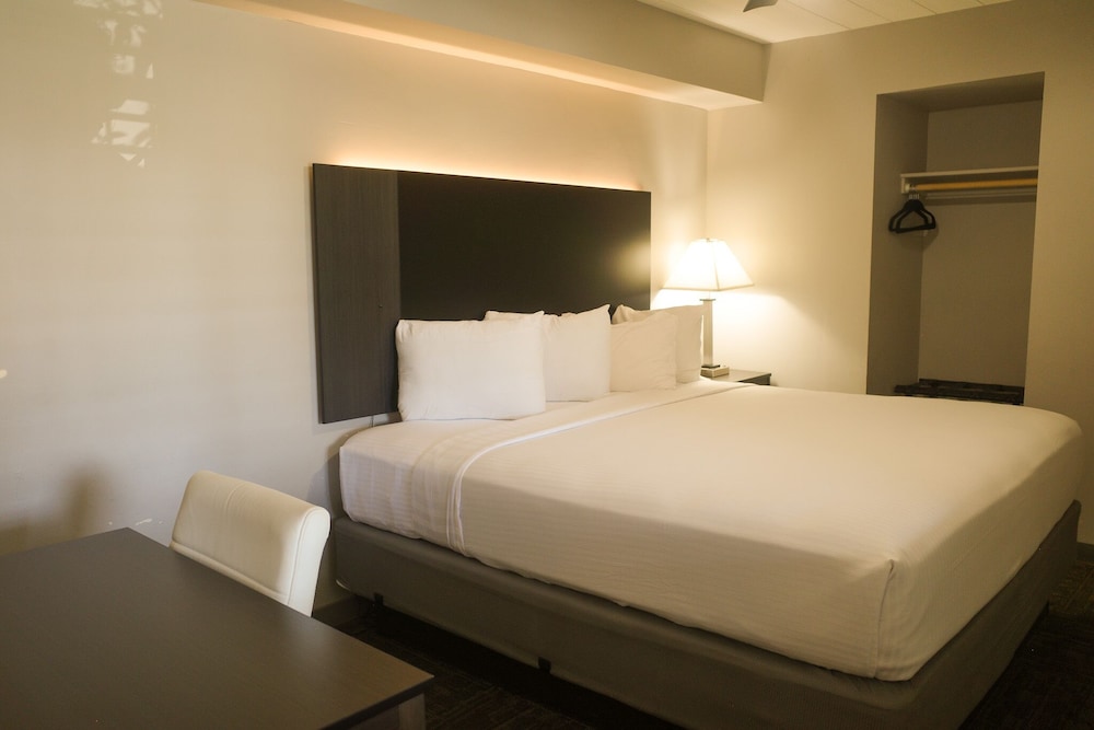 Americana Modern Hotel - photo 24