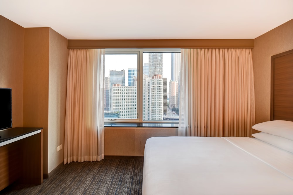 Embassy Suites by Hilton Chicago Downtown Magnificent Mile - photo 29