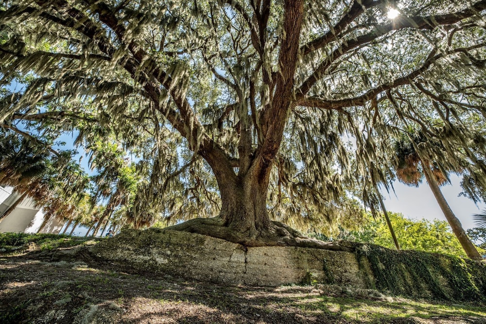 Oaks on the River - photo 42