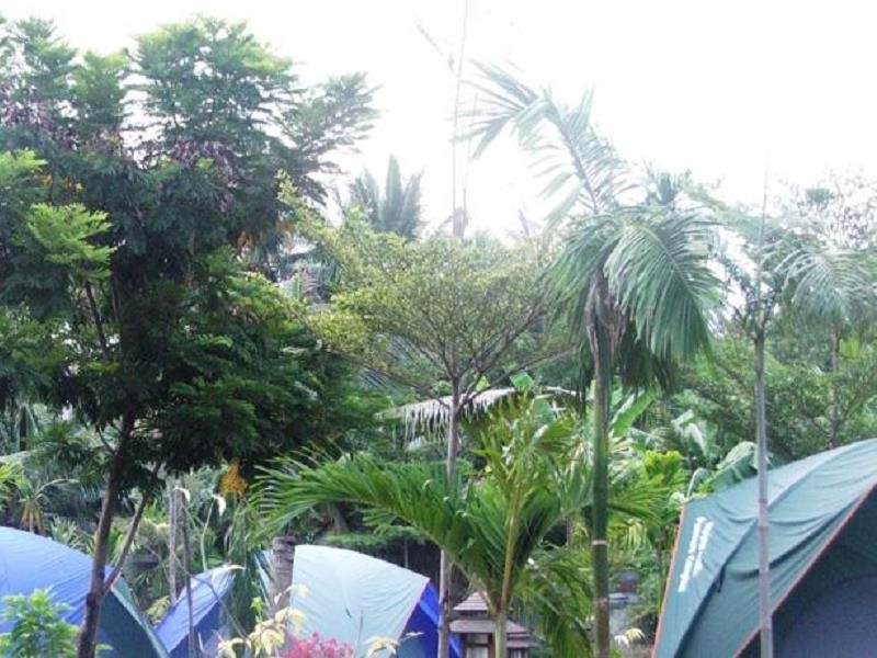 Punntara Botanic Home — Phra Pradaeng — photo 2