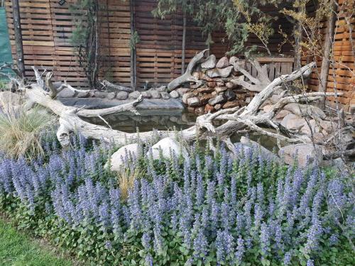 La Damasca — Mendoza — photo 5